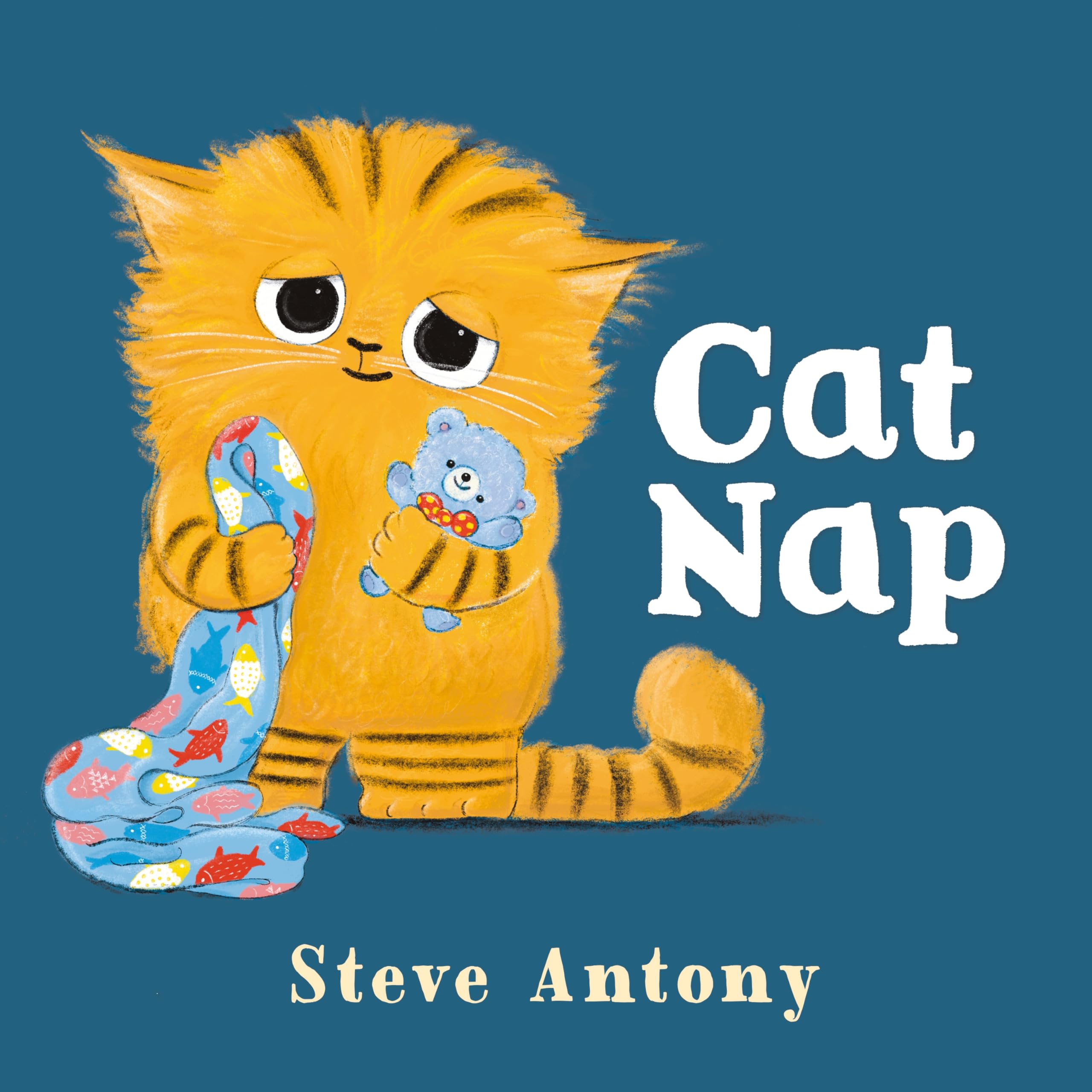 Cat Nap: A First Book About Naptime