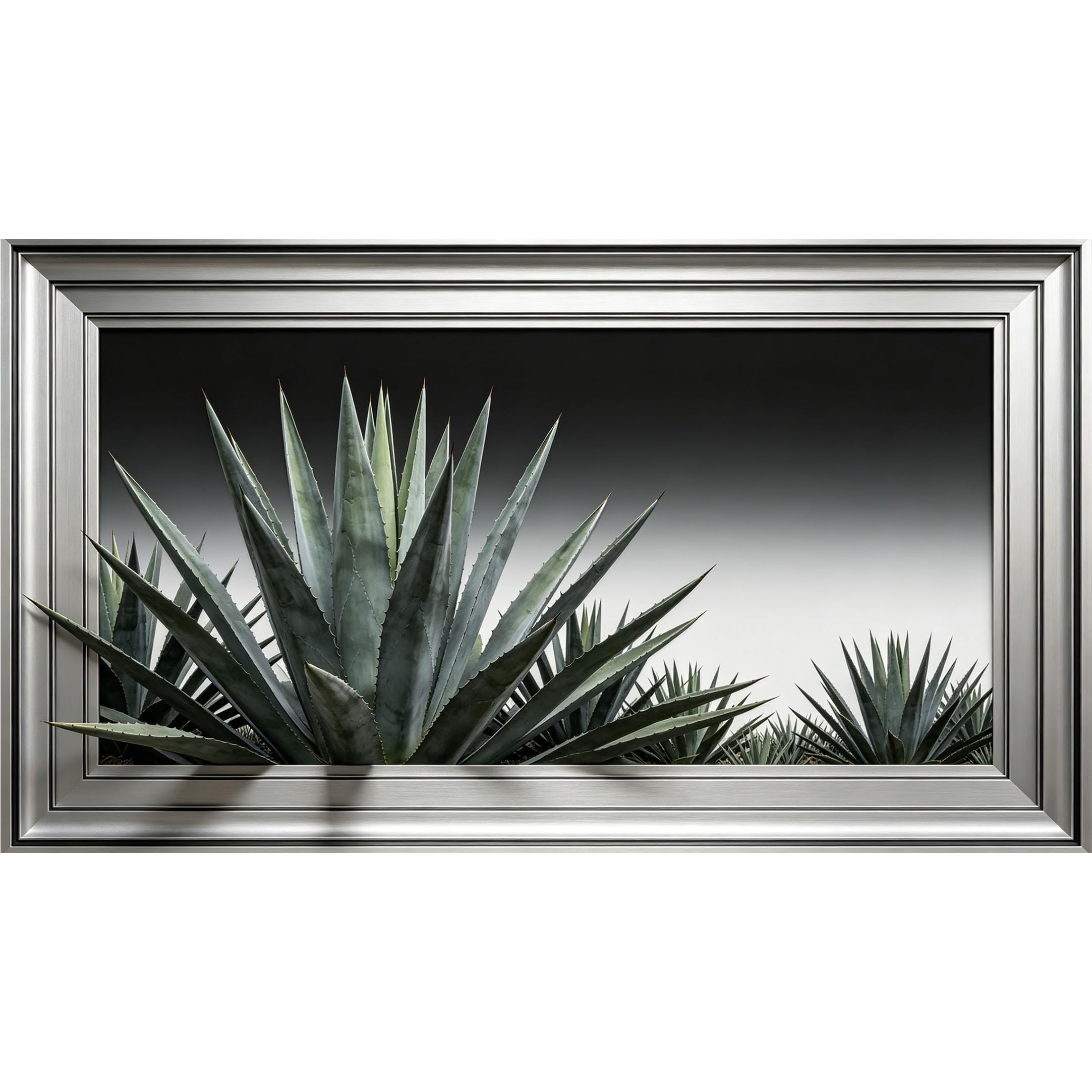 QZLITHOTIC 50×90cm3D Framed Wall Art， Desert Agave Botanical Plant Modern Minimalist Mural， Water?Activated Peel & Stick Fabric Decor Wall Decal for Bedroom Living Room