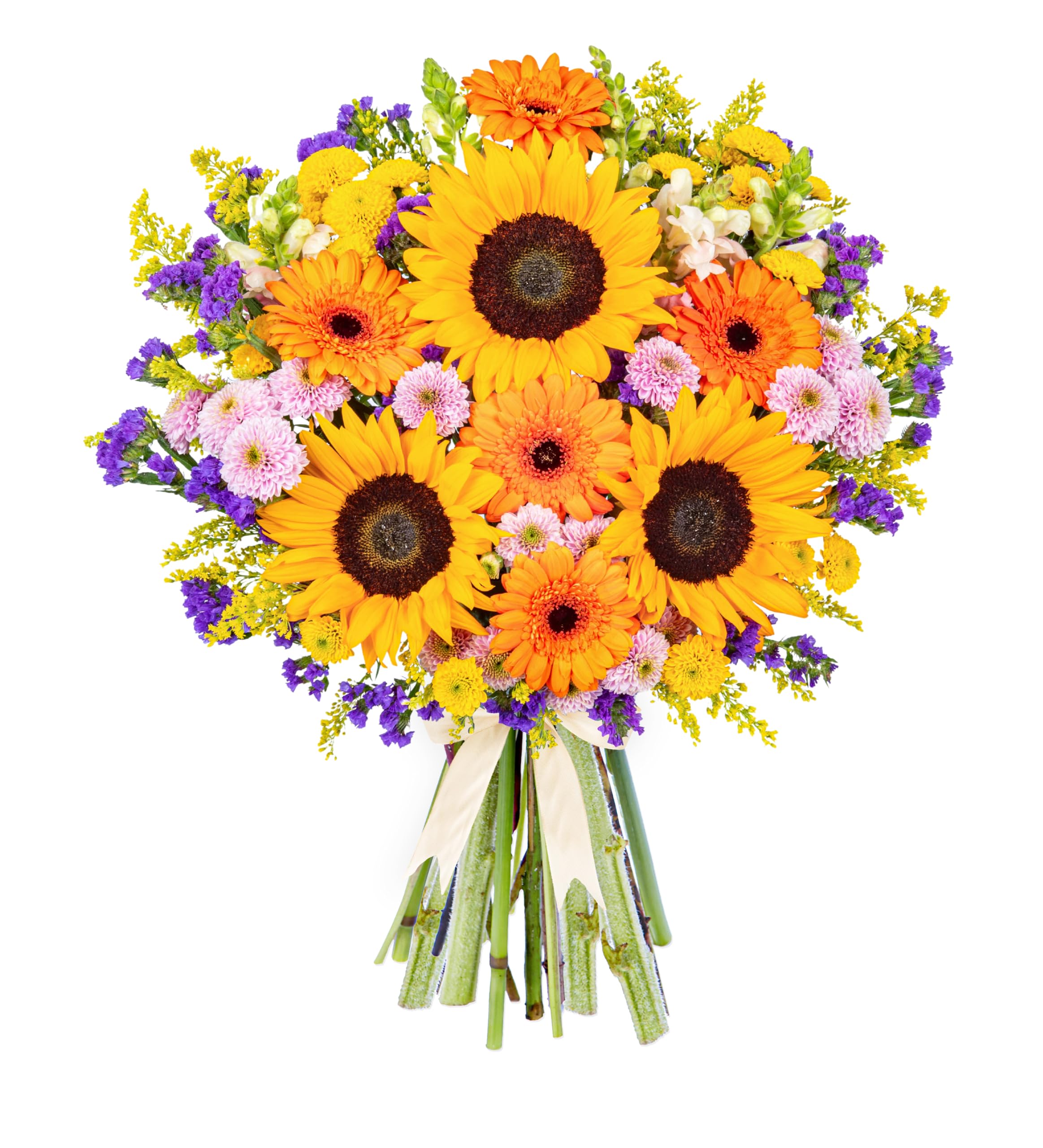 Brilliant Sunshine – Sunflowers for Birthday, Thank You, or Anniversary Flower Gift – Next Day Delivery of Fresh Cut Blooms – Bright Floral Surprise (Large)