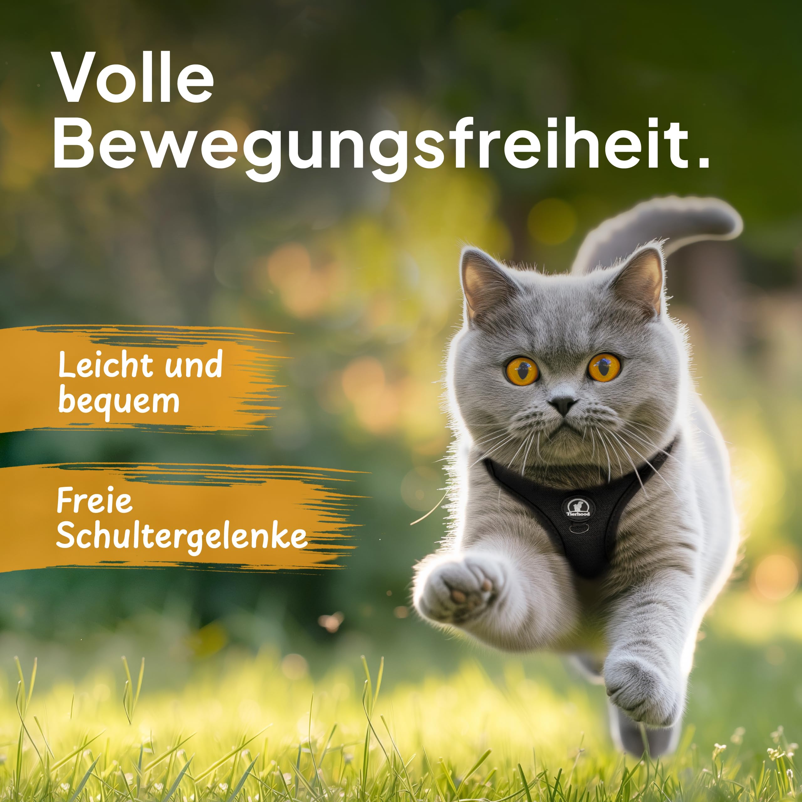 Katzengeschirr mit Leine für Kitten & kleine Katzen - verstellbares Softgeschirr, weich & robust - Katzengeschirr Kitten - Schwarz, Größe S