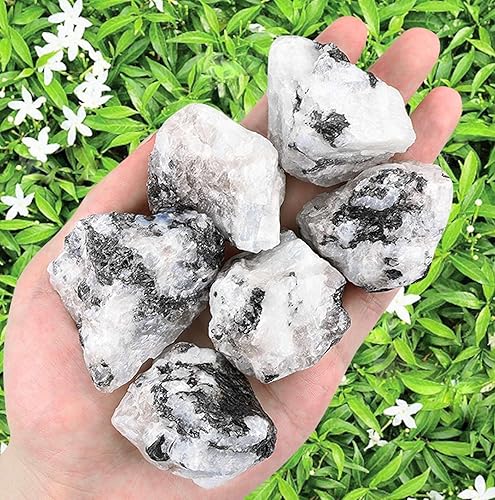 Miniatura 9 de LAIDANLA Piedras naturales de amatista púrpura claro de 2 pulgadas, cristales crudos grandes y curativos a granel, piedras preciosas de cuarzo para