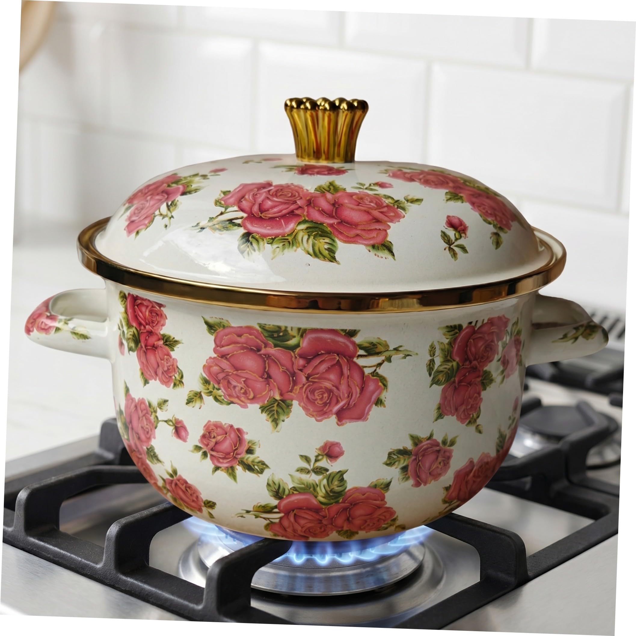 Marmite à Mijoter en Émail 4, 5 L avec Couvercle pour Induction | Double Poignées, Fond Épaissi et Intérieur Émaillé, Usage la Cuisine Maison, Compatible Plaques Électriques