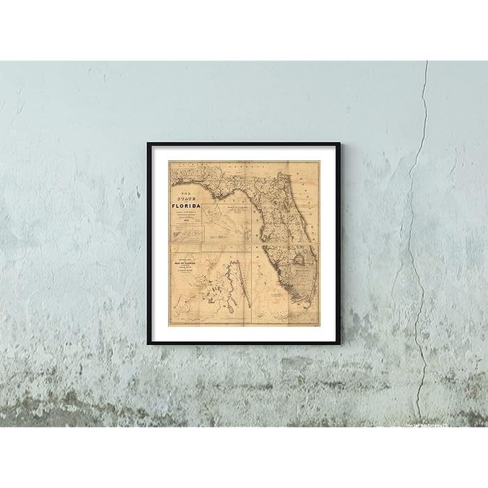 Buy 1846 Map of The State of Florida Historic - 81v UZJhk8L.SS700