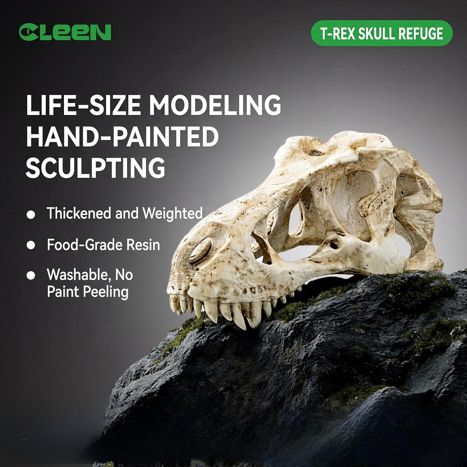CLEEN T-Rex Skull Reptile Hide - Dinosaur Bone Terrarium Decor for Lizards Snakes Bearded Dragon, Realistic Fossil Cave Aquarium Tank Accessories (Large)