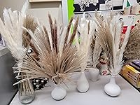 Review Image by Sam P