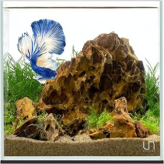 12 Fish Aquarium Ideas for Living Room for Calm Natural Interest 2 Ultum Nature Systems Ultra Clear Rimless Aquarium - Low Iron Glass Fish ...