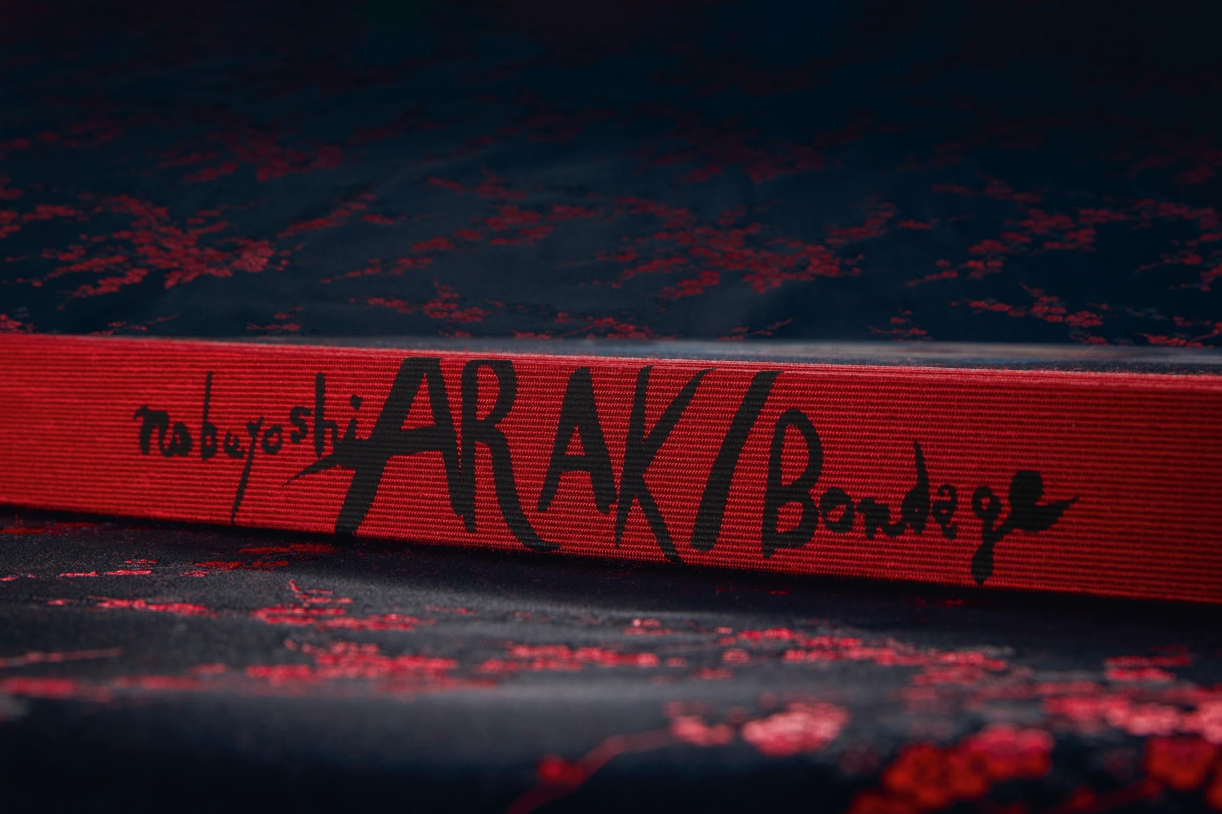Araki: Bondage