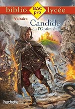 Download Biblio BAC Pro - Candide PDF