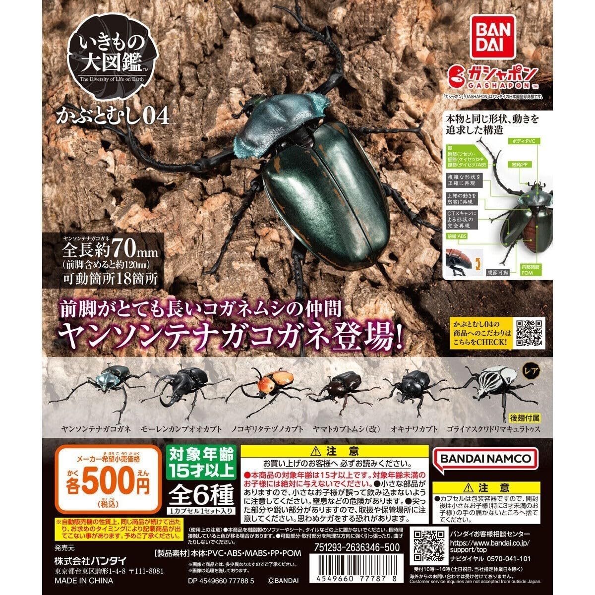 Amazon.co.jp: いきもの大図鑑 かぶとむし04 ノコギリタテヅノカブト