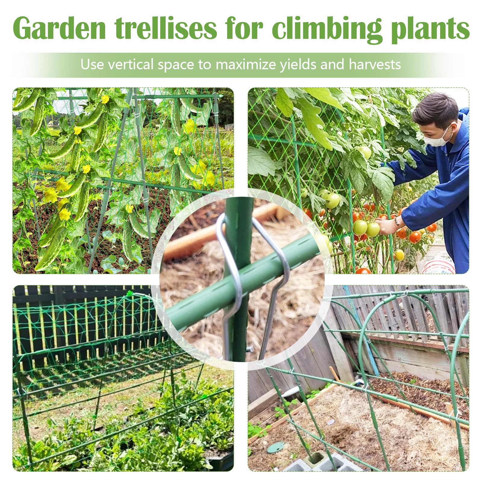 Set Di Traliccio Per Cetrioli, Traliccio Per Cetrioli Da Giardino Per Piante Rampicanti, 160cm (L) X 120cm (A), Arco In Metallo, Tralicci Per Meloni Con Rete Traliccio Di Supporto Per Esterni