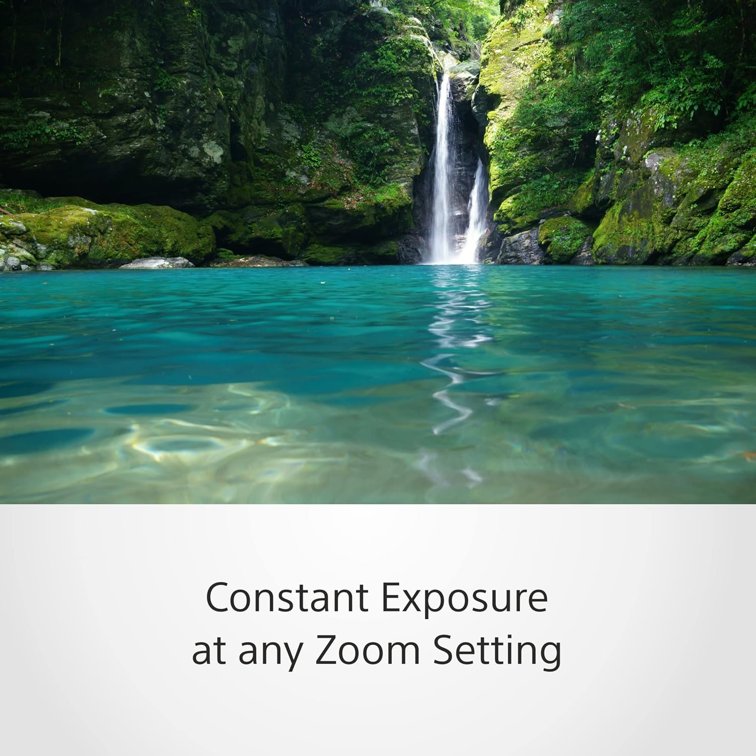 Sony SEL2470Z E Mount - Full Frame Vario T 24-70 mm F4.0 Zeiss Zoom Lens 6 81v0V342FkL. AC SL1500