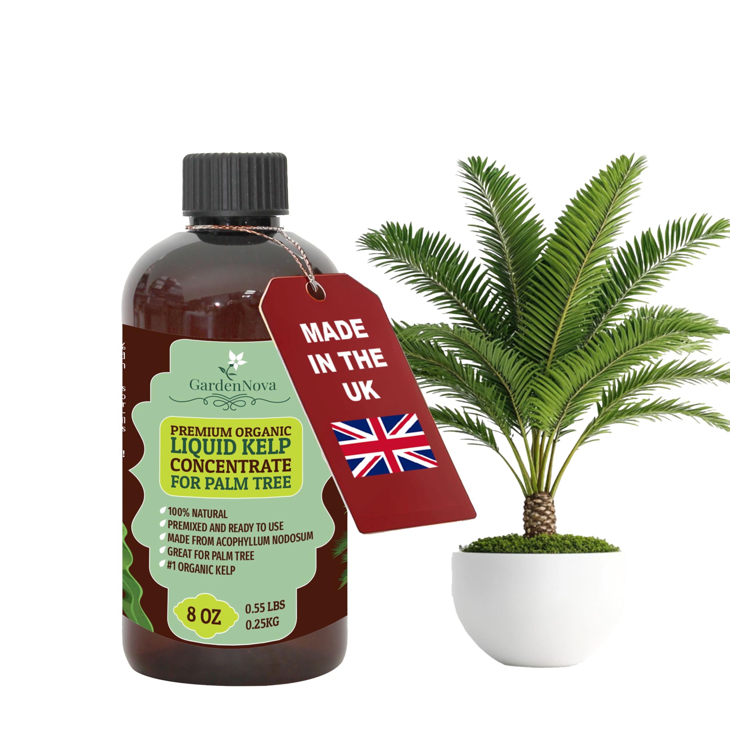 GARDENNOVA Premium Organic Seaweed & Kelp Superfood for Palm Tree Plants - 8 oz - Liquid Kelp Fertilizer Concentrate (Makes 25 Litres)