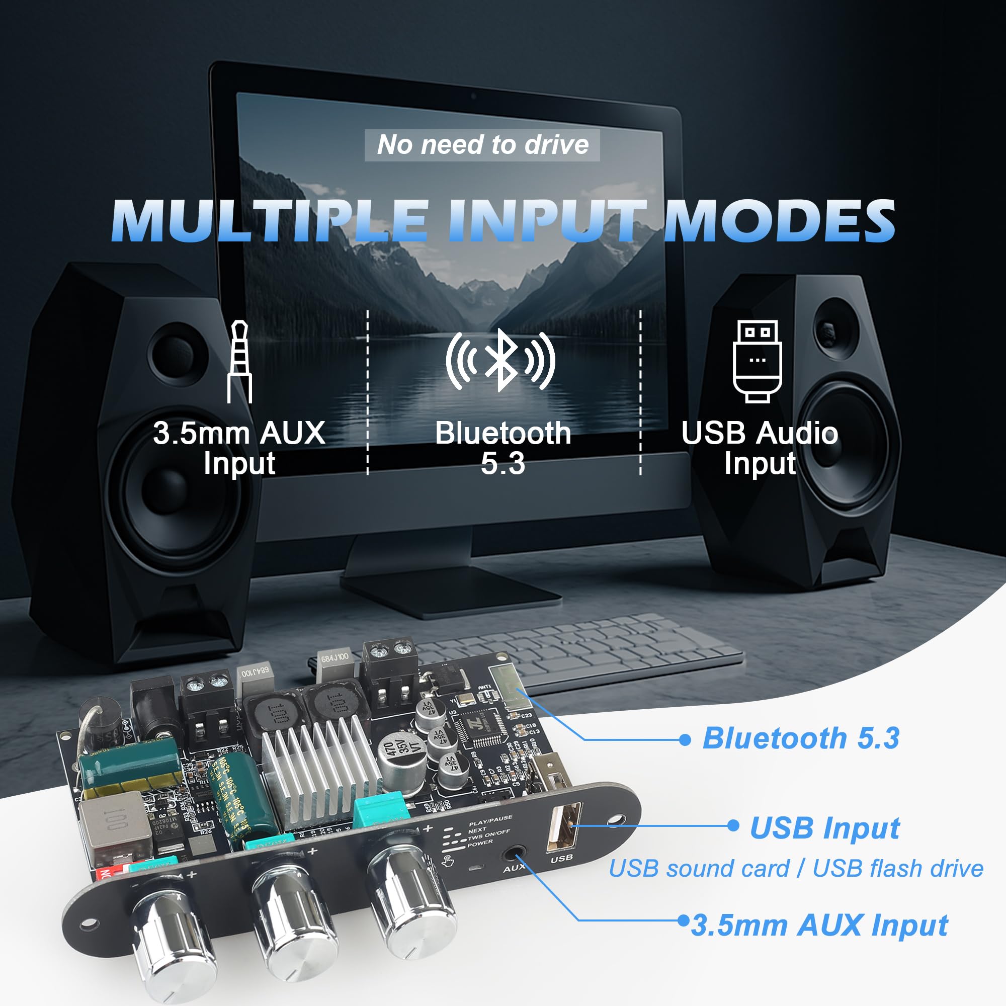 Wuzhi Audio ZK-1001U Mono Amplifier Board with TWS, 100W Power