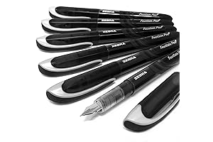 ZEBRA Fuente - The Ultimate Disposable Fountain Pen
