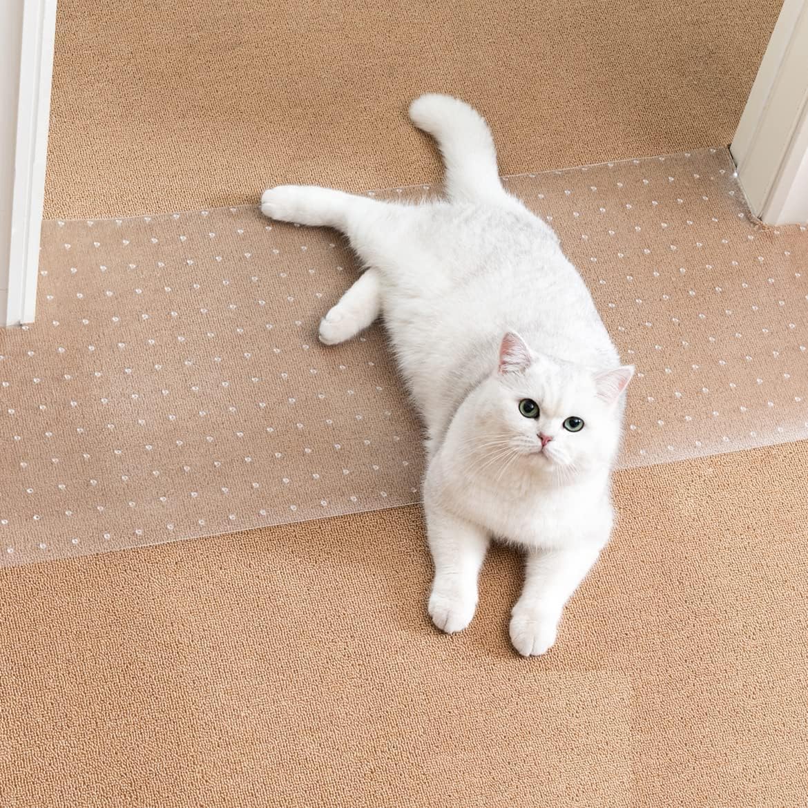 Uross Carpet Protector for Pets - 110CM Cat Protector for Doorway, Anti Scratch Under Door slip Cats Scratching Mat, Easy to Cut Plastic pad Scratch Stopper, Cat Scratch Guard