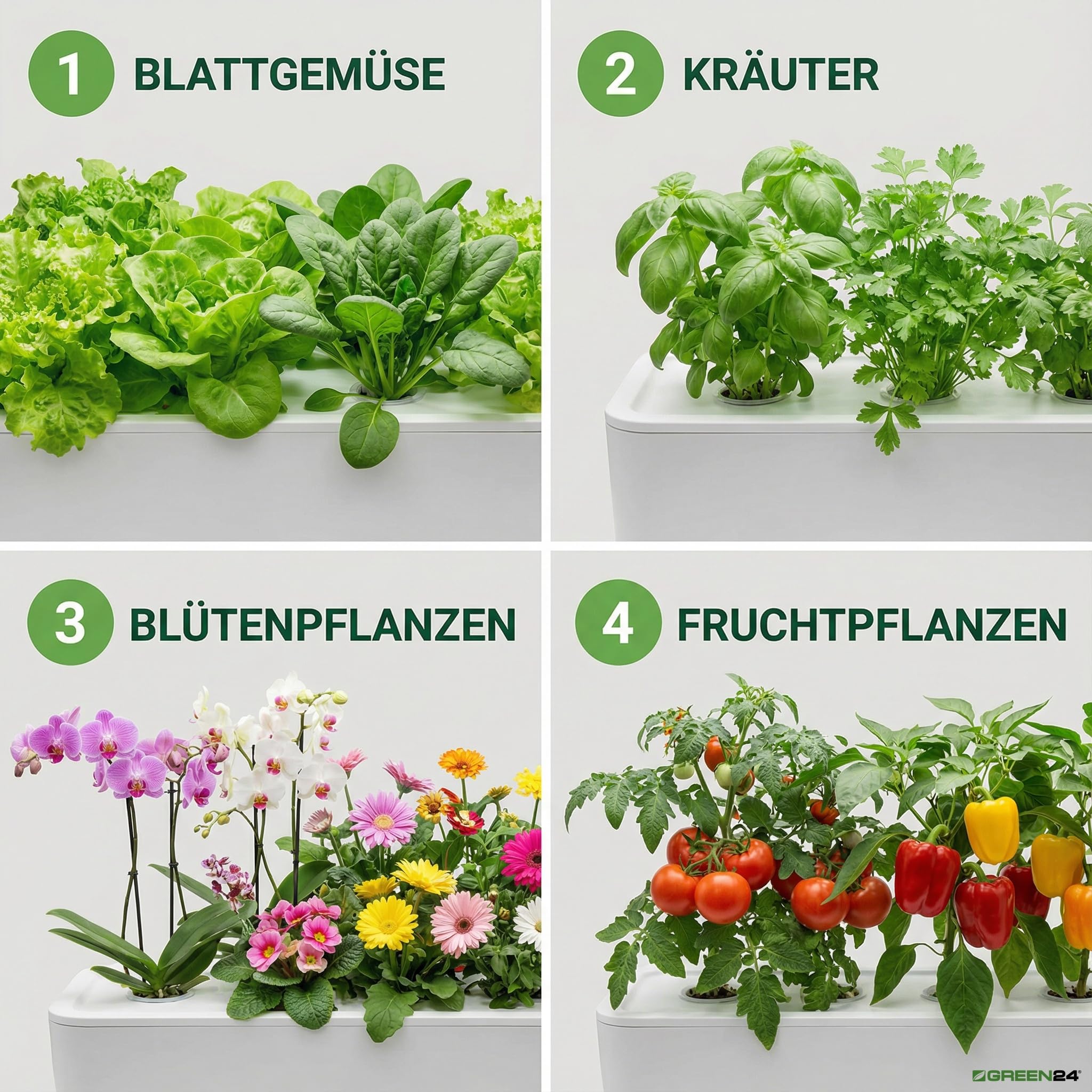GREEN24 Nawóz hydroponiczny NPK 250 ml specjalny nawóz do upraw bezziemnych – hydroponika NFT DWC aeroponika pionowa farming – bez azotu amonowego, roztwór odżywczy, granulat gliniany, do uprawy