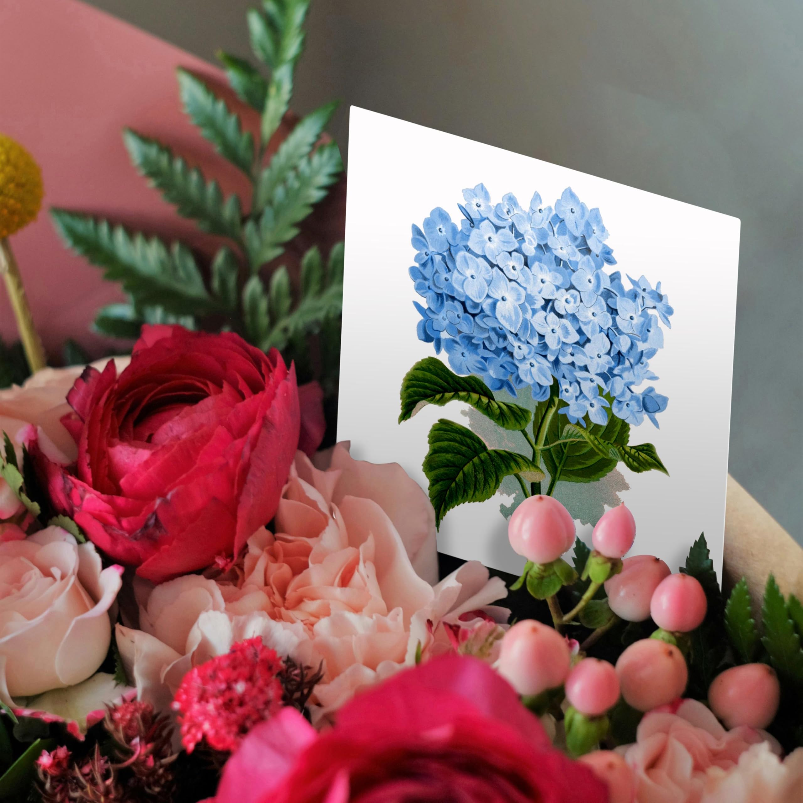 Amazon.com : 3dRose Blue hydrangea flowers vintage art
