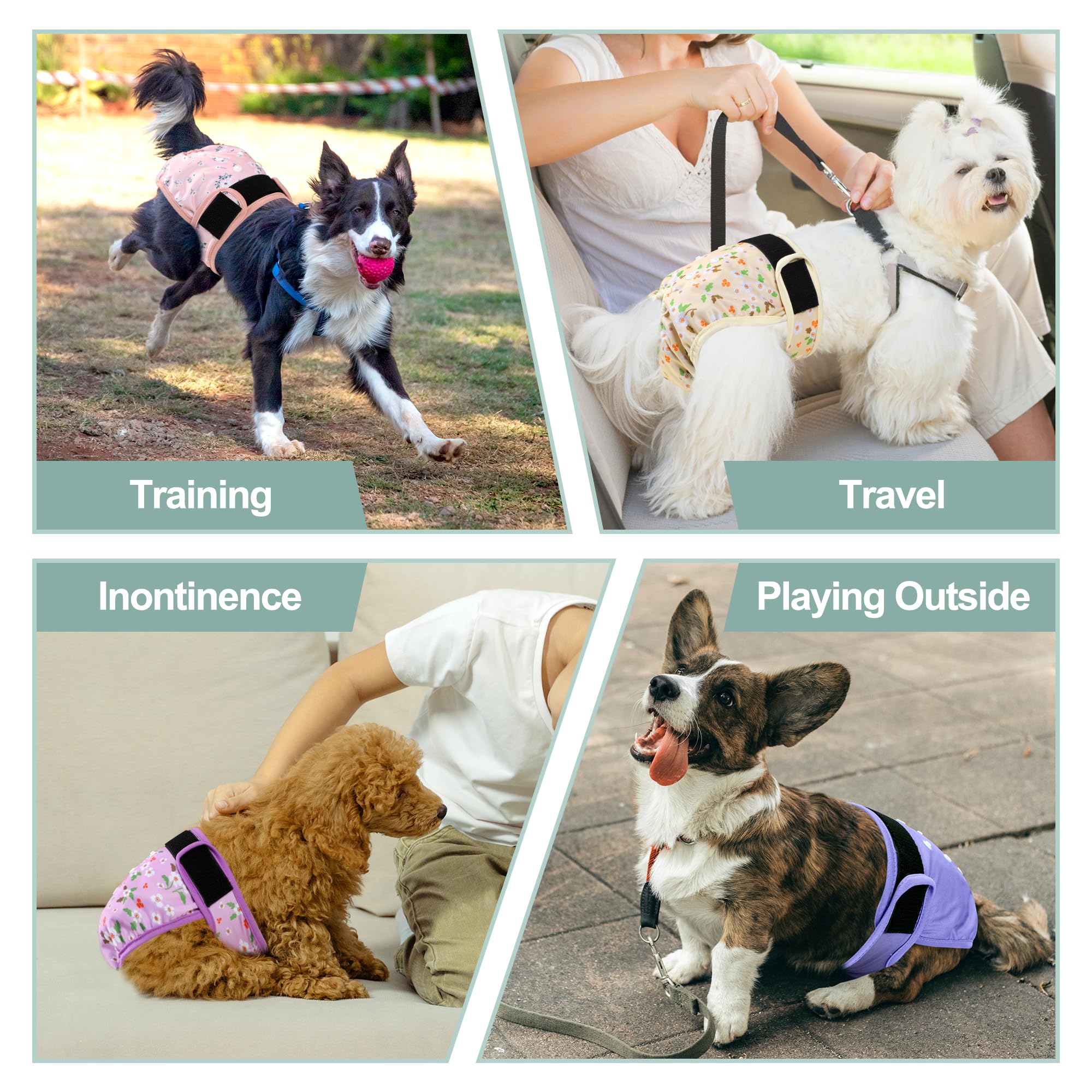 Pañales para perras, 5 unidades, pañales reutilizables de alta calidad para perritos en celo, pañales altamente absorbentes para incontinencia de mascotas con broches ajustables, flores, talla XL