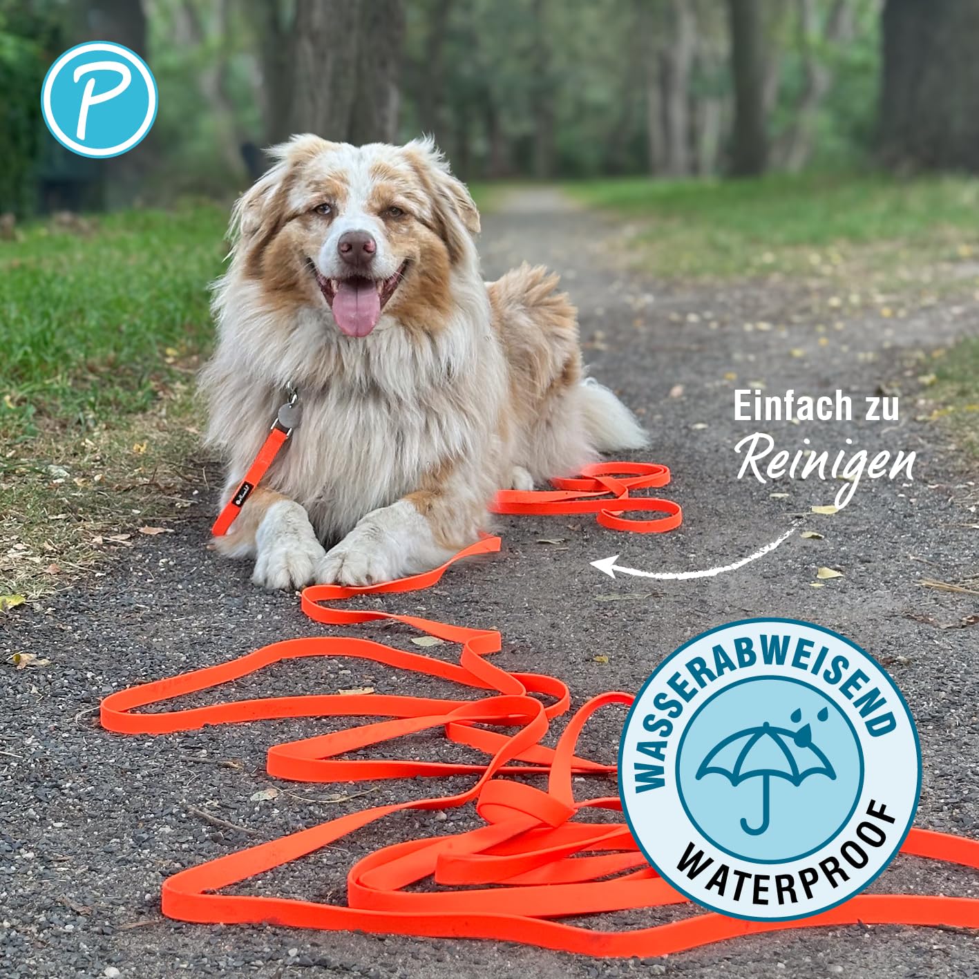 Petlando Schleppleine Trekking Such- und Trainingsleine für Hunde, für Ausbildung, extrem belastbar, viel Bewegungsfreiheit, einfache Reinigung – 5m x 1,5cm, orange