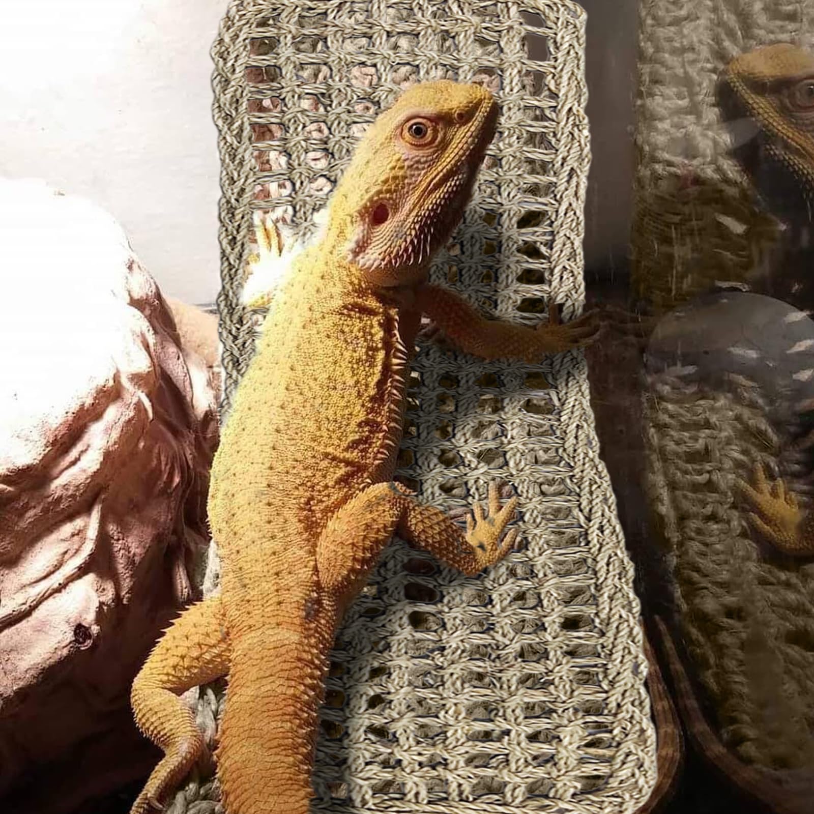 2 Stück Bartagamen-Hängematte, groß, 76,2 x 17,8 cm, Reptilien-Hängematte, Eidechsen-Hängematte, Bartdrachen, Kletter-Lebensraum, Tankzubehör, Reptilienbrücke für Chamäleon-Einsiedler