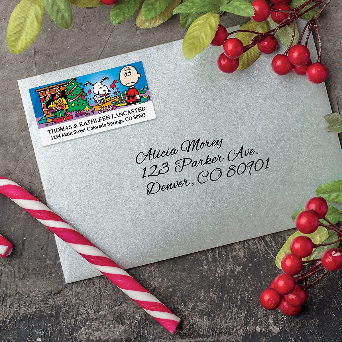 Amazon.com : Colorful Images Christmas Fun Peanuts Return Address