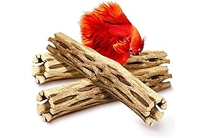 5-Inch SunGrow Betta Cholla Wood: A Versatile Natural Treat for Pets and Hobbyists!
