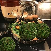 Vista 6 de BYHER Bola decorativa de musgo verde natural, hecha a mano (3.5 pulgadas, juego de 6)