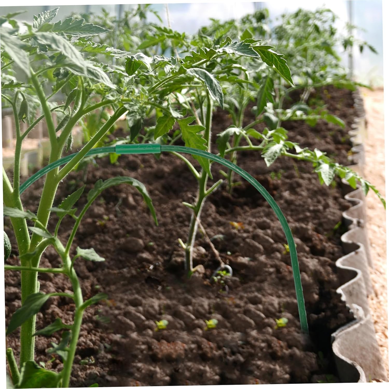 4 Sets of Greenhouse Gardening Plant Tunnel Frame for Outdoor Use Arch Support Hoops Insect and Frost Protection