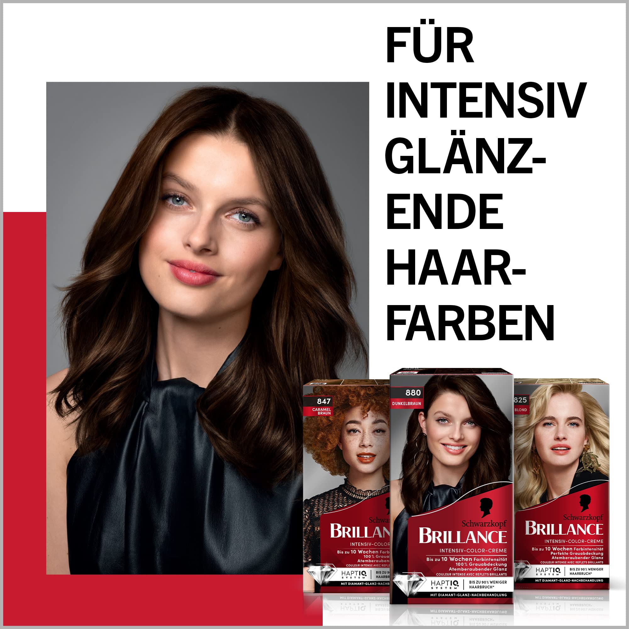Brillance Intensiv-Color-Creme 890 Schwarz (6x 160 ml), dauerhafte Haarfarbe mit Diamant-Glanz und Pflege-Conditioner, für 10 Wochen Farbintensität