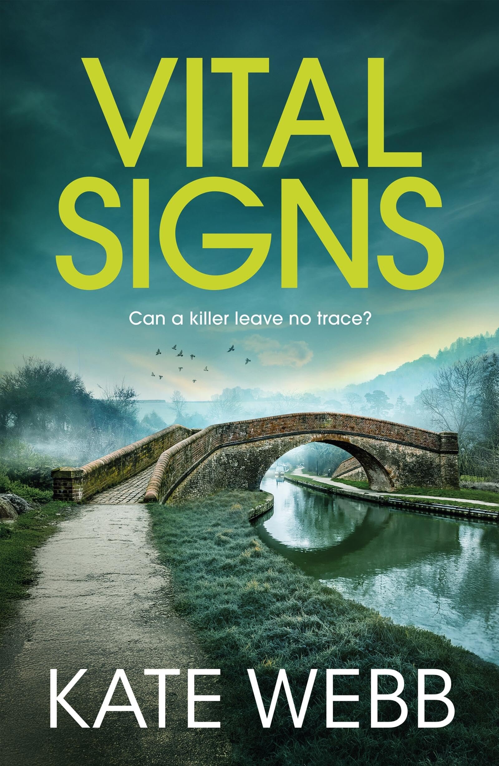 Vital Signs (The DI Lockyer Mysteries)