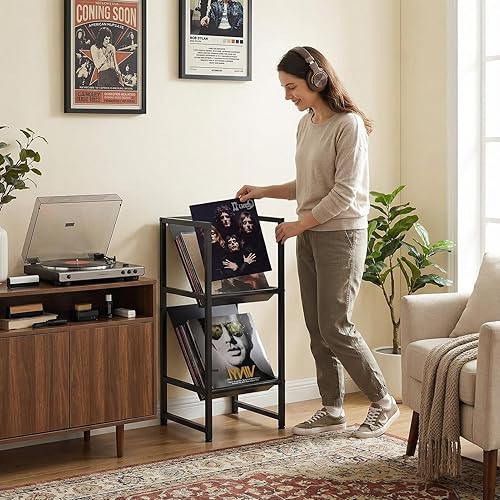 Miniatura 6 de Conceptual Design - Almacenamiento de discos de vinilo, soporte para discos de metal negro de 2 niveles, solución de almacenamiento elegante para tu