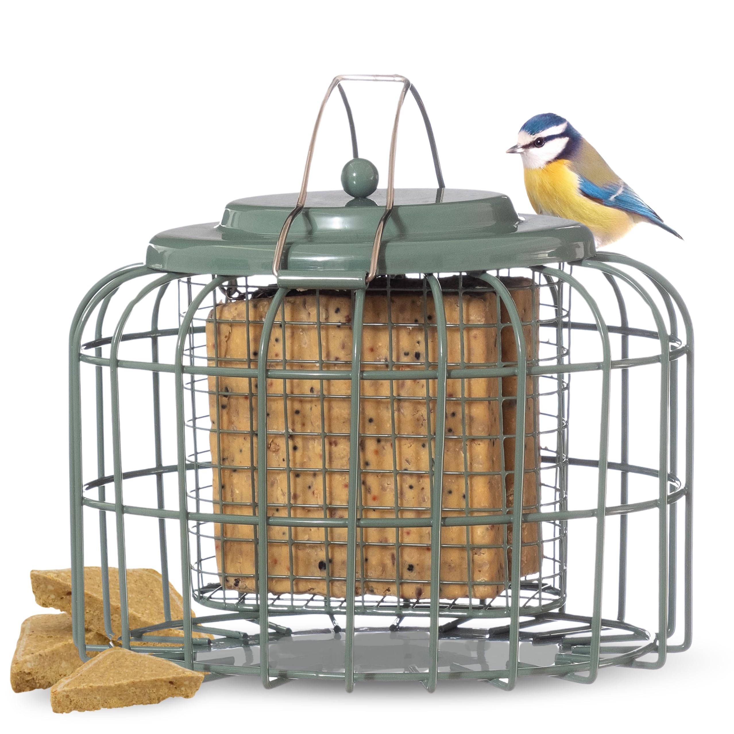 The Nuttery Oval Squirrel & Pigeon Proof Bird Feeder for Small Garden Birds – Hanging Metal Fat Ball & Suet Cake Feeder – Weatherproof, Easy to Clean – British Design, Est. 1990