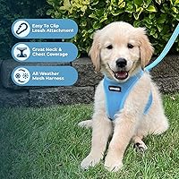 Vista 3 de Best Pet Supplies - Arnés de malla para todo tipo de clima, reflectante, antitirones, para perros y gatos pequeños y medianos, con cierre de velcro