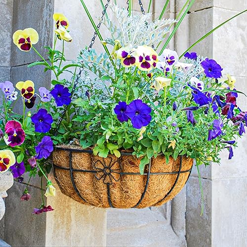 Miniatura 3 de 6 forros de coco de 14 pulgadas para maceteros, forros de fibra de coco 100% natural para maceteros redondos de fibra de coco colgante para flores,