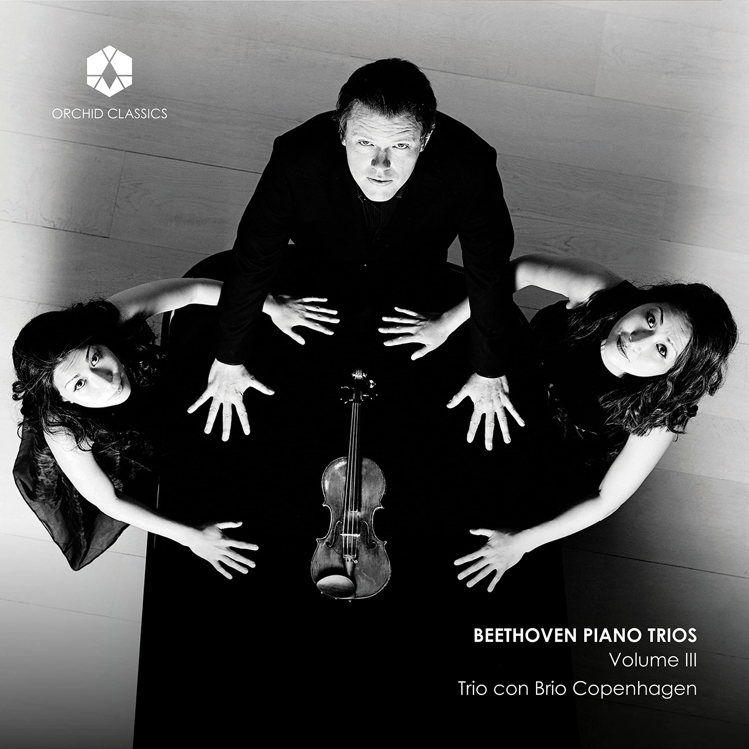 Ludwig van Beethoven: Piano Trios, Vol. III