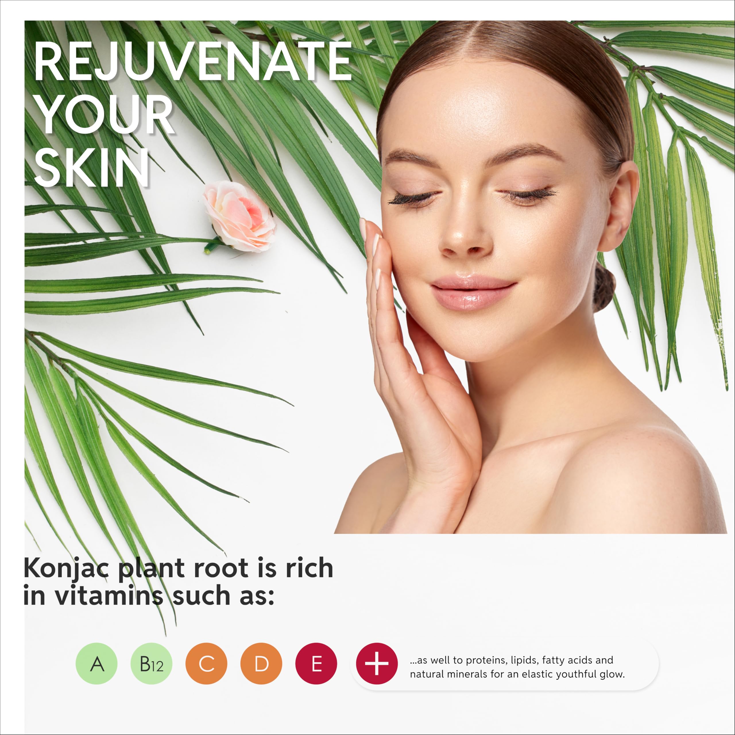 Konjac - Esponja corporal (2 unidades) | 100% natural y libre de tintes | no tóxica | Biodegradable | Ecológica | Embalaje sin plástico