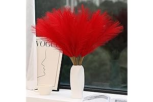 Red Pampas Grass Decor: Enhance Your Space with Vibrant Texture