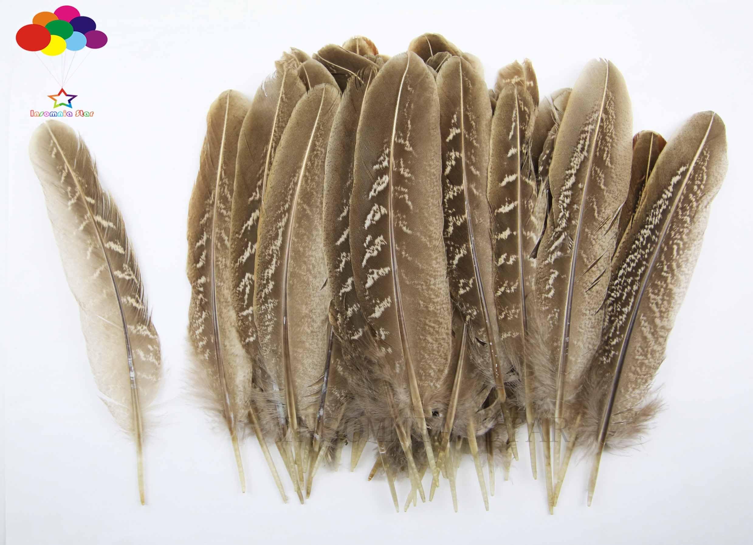 100 pcs beautiful natural pheasant feather 10-15cm / 4-6 inch TF-8