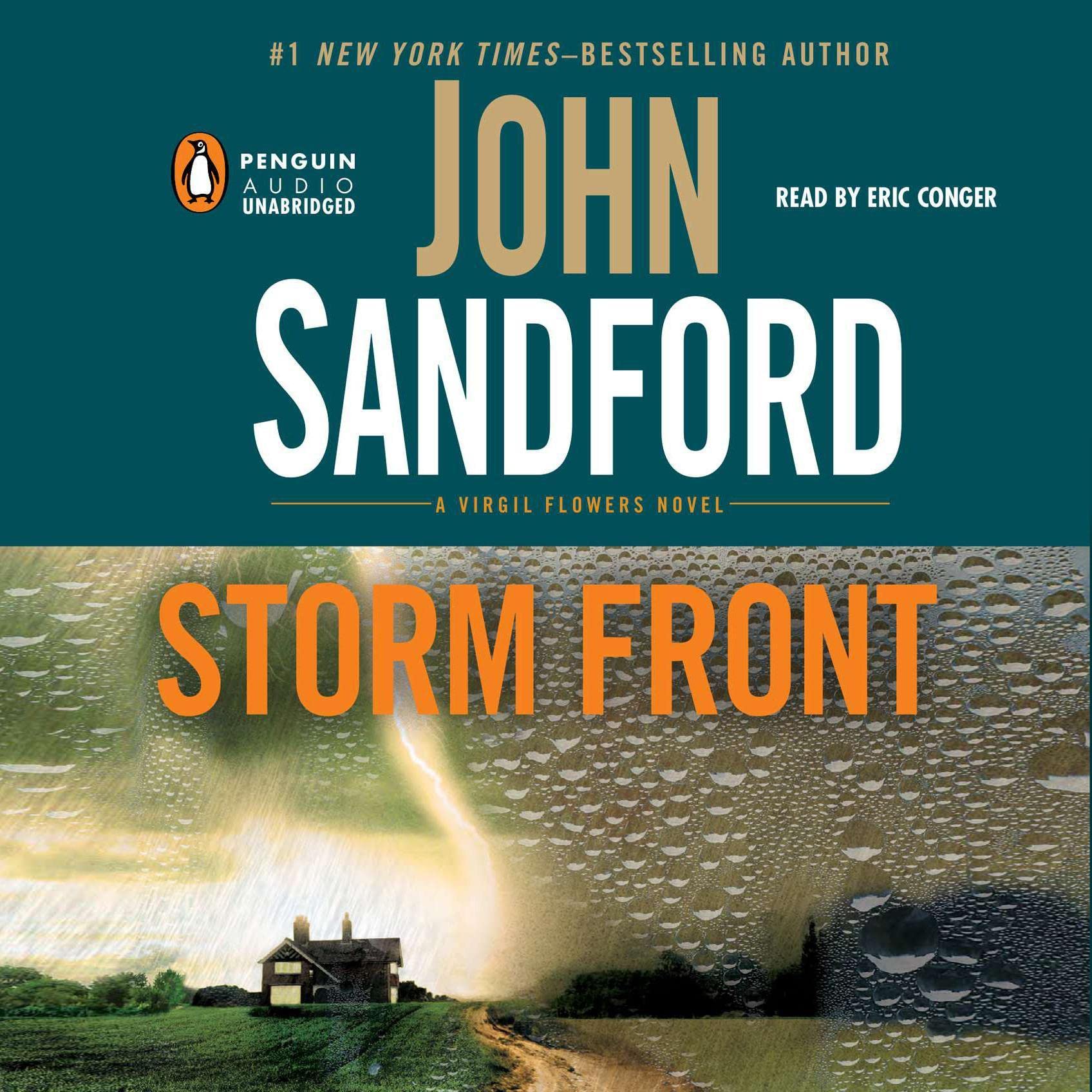 Cover art for Storm Front