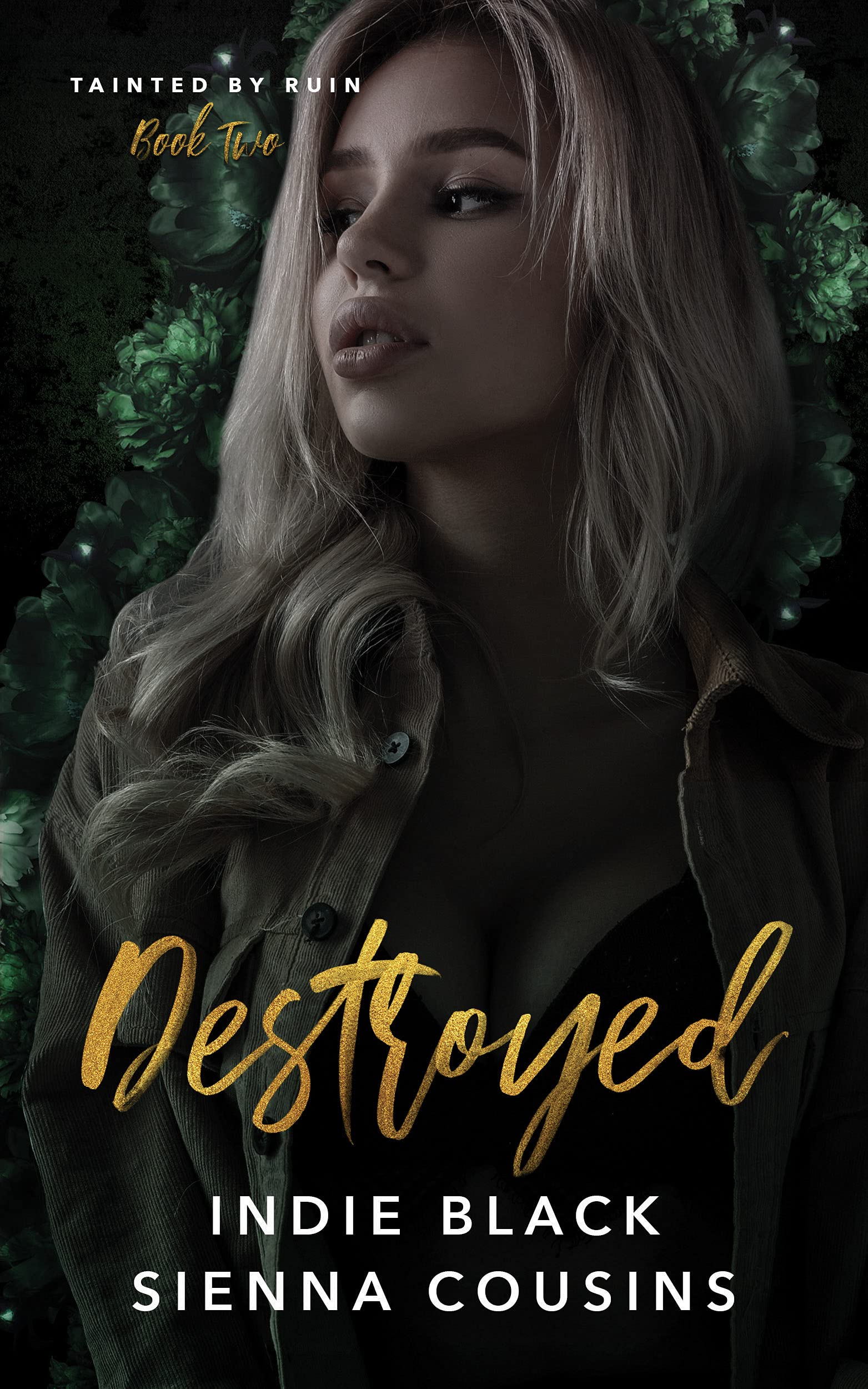 Destroyed (Tainted by Ruin Series Book 2)