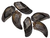 Algopix Similar Product 3 - Butcher Shop 100 Cow Hooves 6 Pack