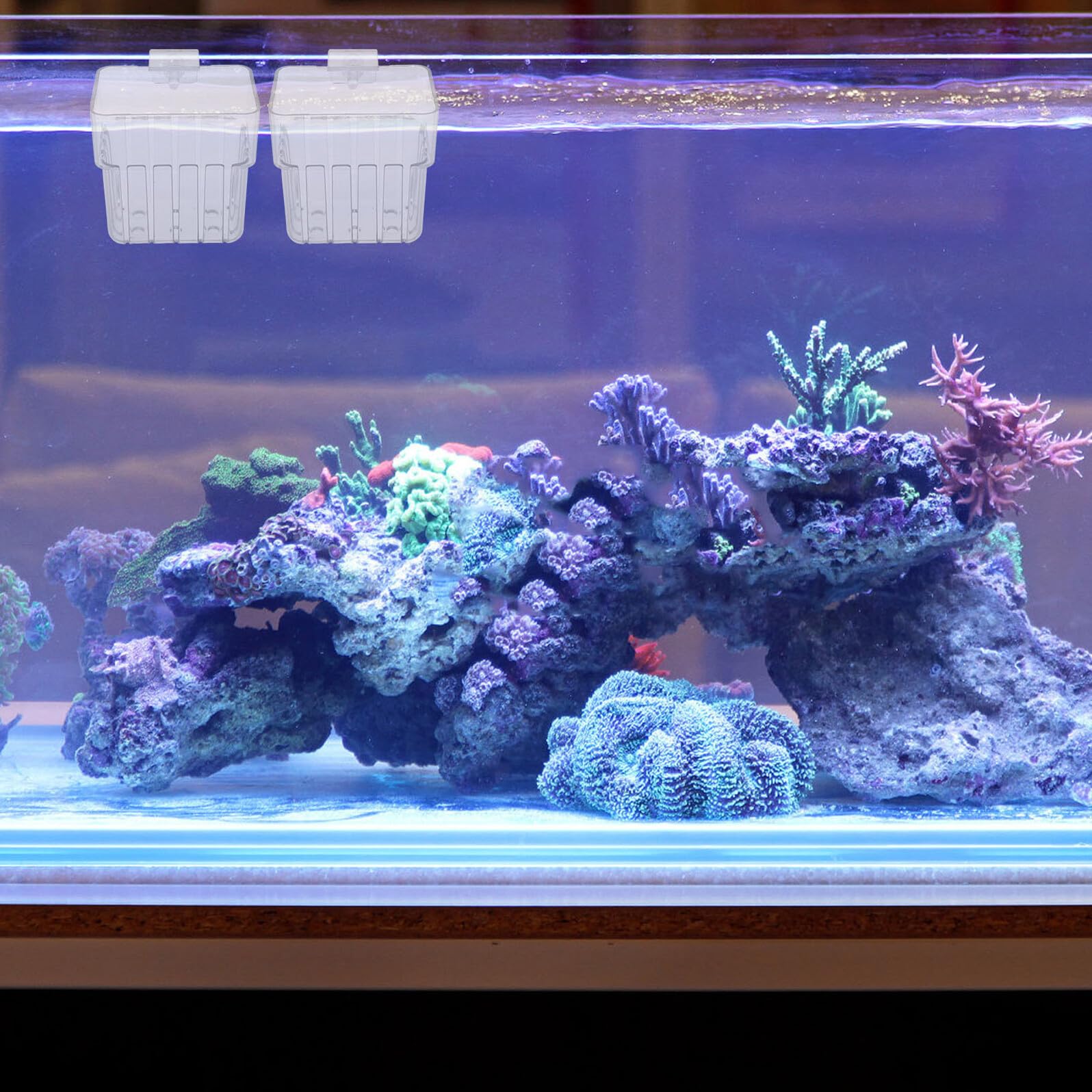 Hohopeti 10 Stück Hydroponik Pflanzenhalter für Aquarien Transparente Hängende Pflanzkörbe für Wasserpflanzen Platzsparende Aquarium Pflanztöpfe mit Haken zur Aquarienbegrünung
