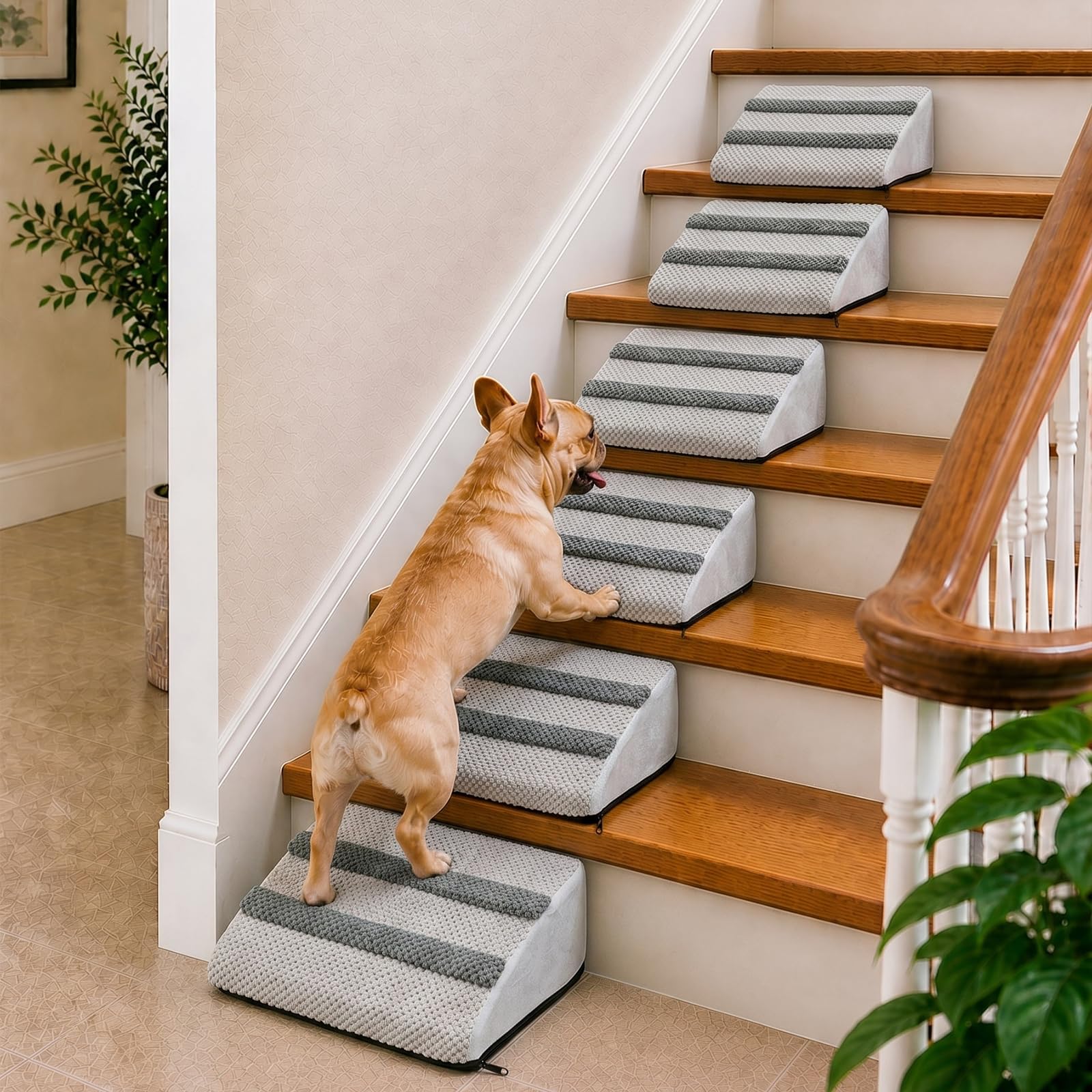 Photo 1 of DOPURRED Dog Ramp 6-Pack