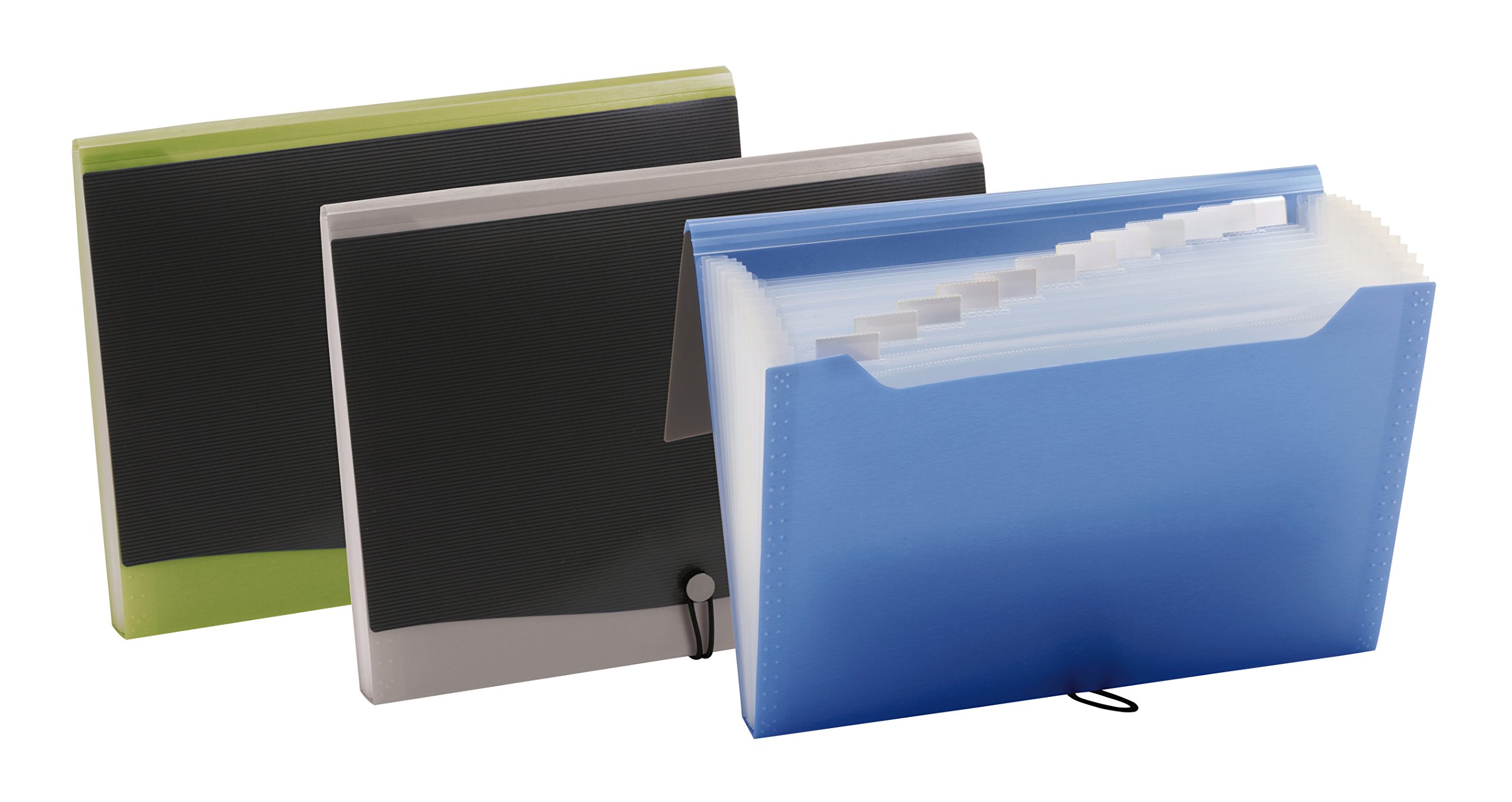 Pendaflex 82113 - Archivador profesional de 13 bolsillos, tamaño de letra, varios colores