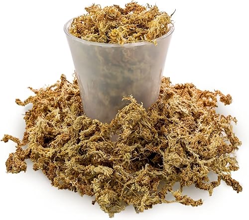 Miniatura 3 de Gardenera - Musgo esfagnum de grado prémium  Orquídea de musgo esfagnum de fibra larga orgánica mezclada a mano de Nueva Zelanda  2 cuartos de galón