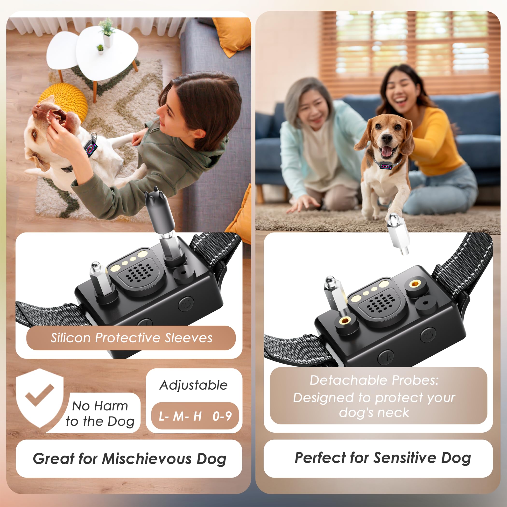 Bark Collars How To Keep A Dog From Barking When You Leave Anti