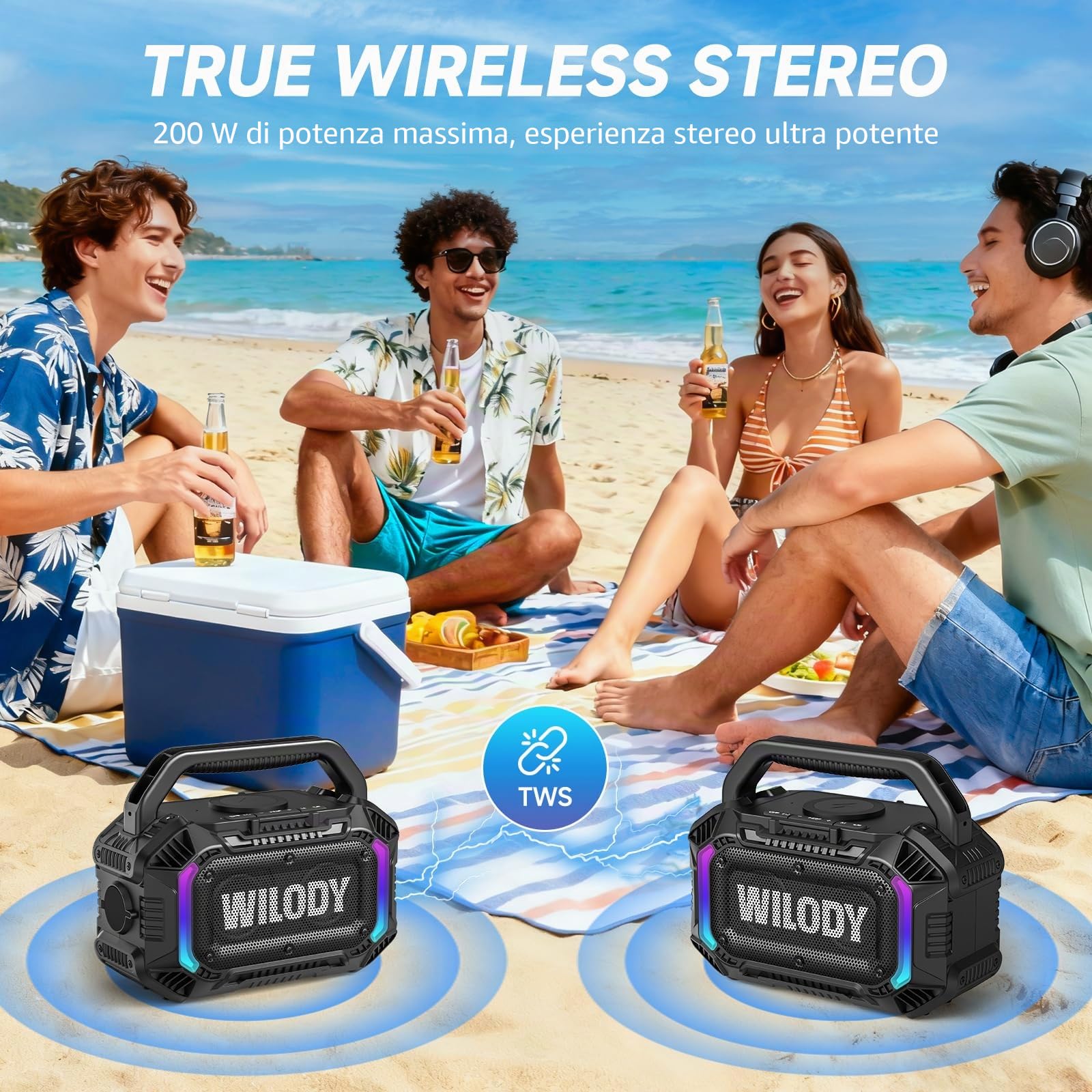 Wilody Altoparlante Bluetooth portatile wireless,cassa bluetooth portatile con bassi profondi da 100 W,potente IPX7,con ricarica wireless,20 ore di riproduzione,ingresso TF/AUX/USB,RGB,TWS,BT5.3,Nero