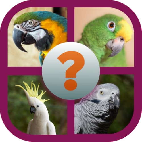 Bird Species Quiz -Ornithology