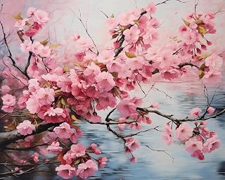 OKSGYTA Cherry Blossoms Painting by Numbers DIY Kit Paint by Number Art Design Canvas Flowers Paint by Numbers Painting Kit Home Hobby, 40x50cm No Frame