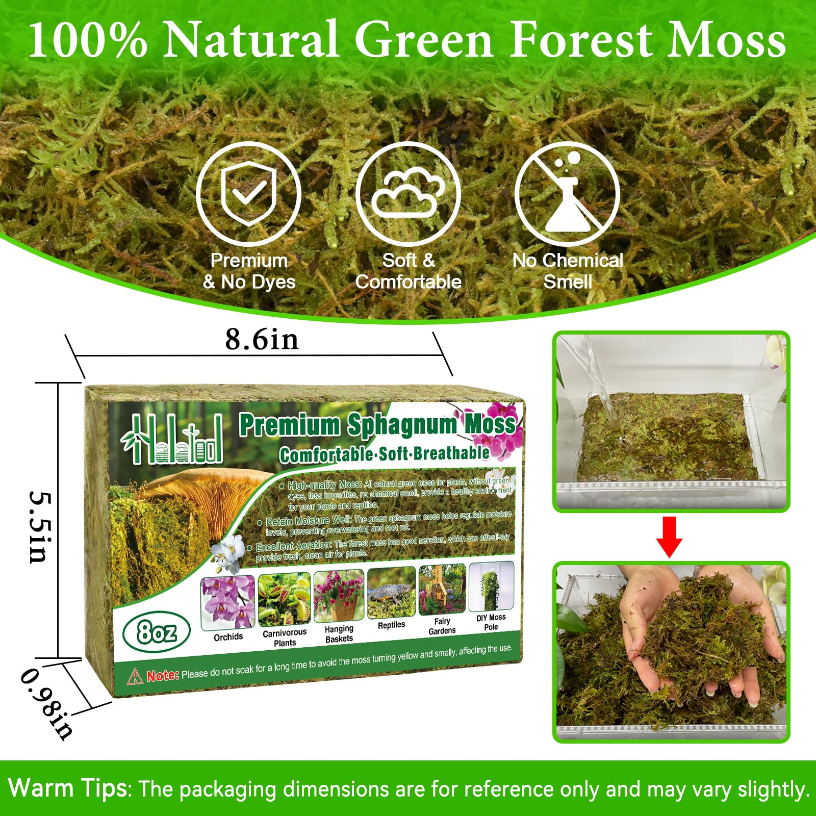 Halatool 230g Natural Sphagnum Moss for Plants Long Fibered Dried Forest Moss - Image 2
